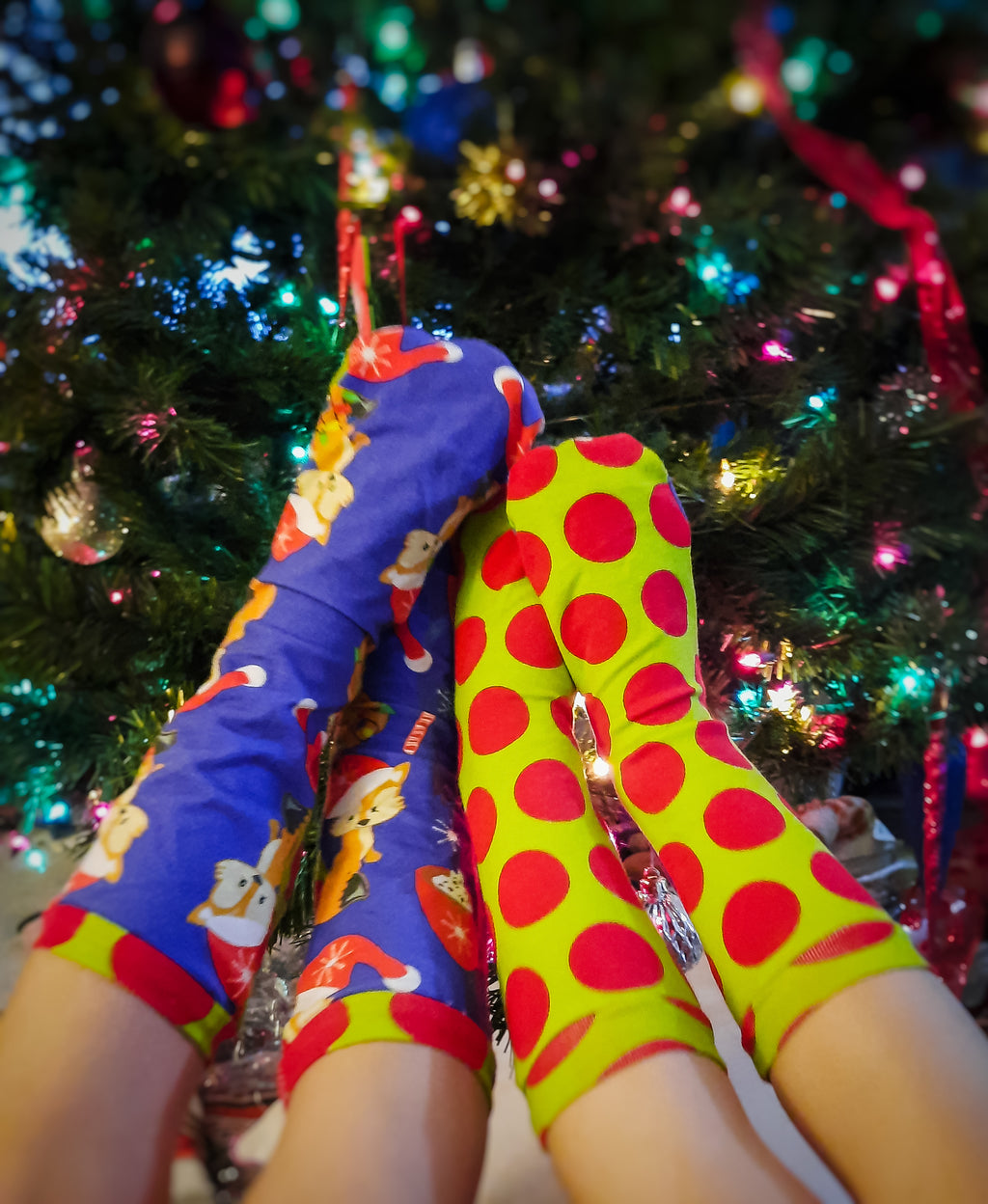 Mistletoe Trio